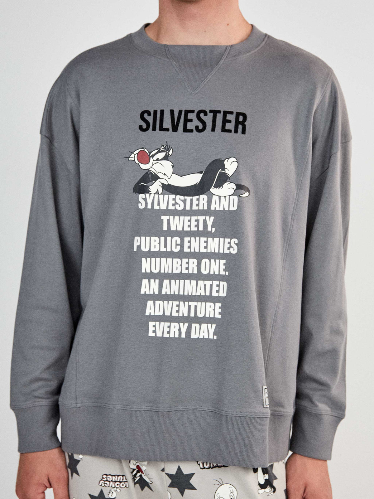Ανδρική πιτζάμα με σχέδιο SYLVESTER / GS2/20476